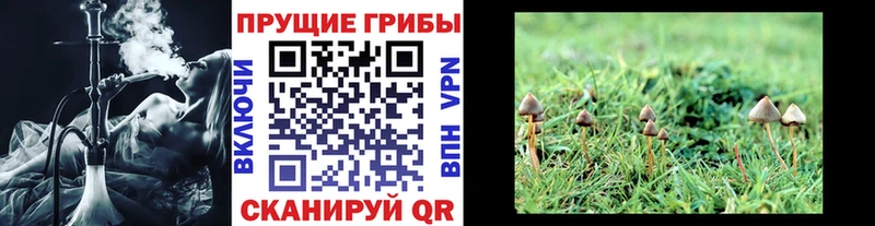Галлюциногенные грибы Cubensis MEGA сайт Володарск